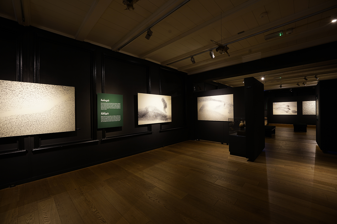 Natuurmuseum Frieslan